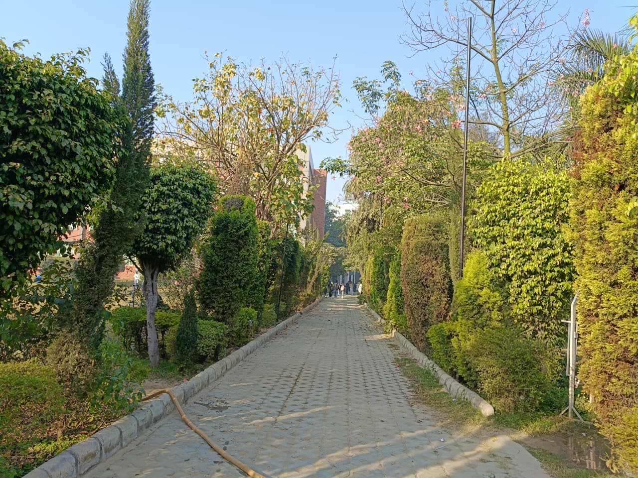 PIET Campus photo 38